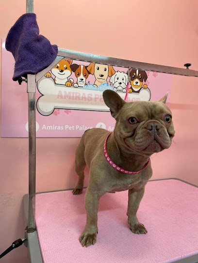 Amira’s Pet Palace