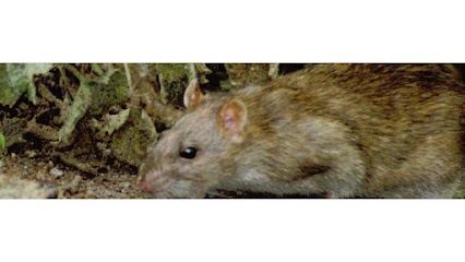 Birmingham Pest Control Ltd