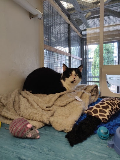 Cats Protection - West Midlands Cat Centre