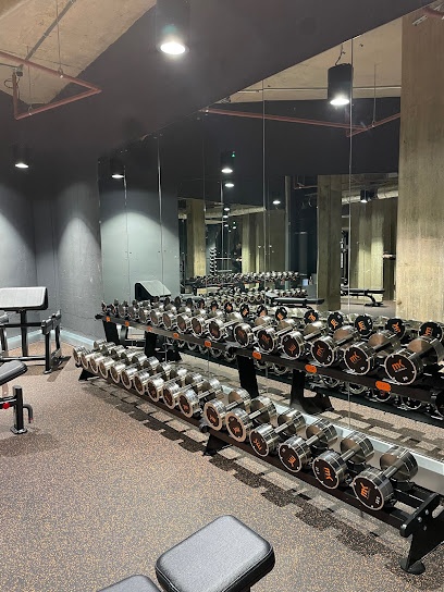MK Health Hub