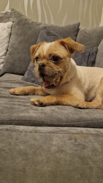 Pawtraits Dog Salon