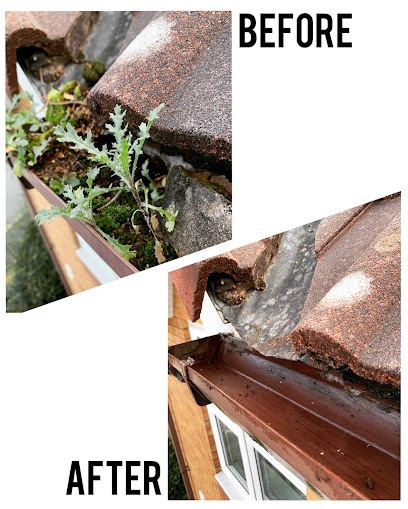 T&J Cleaning (Windows & Gutters)